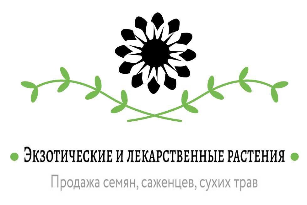 Экзотические и лекарственные растения
