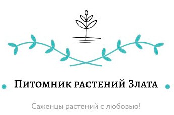 Питомник растений "Злата"