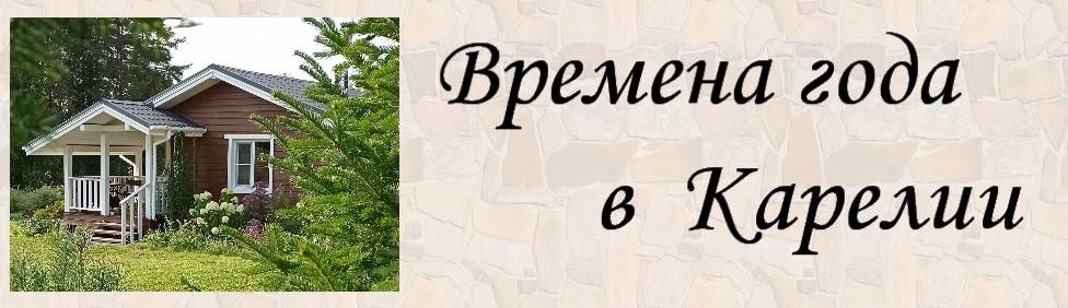 Времена года в Карелии