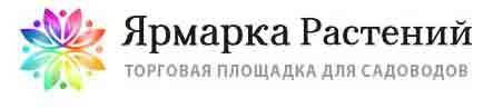 Цветочная корзинка