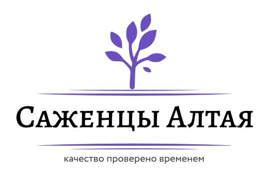 Саженцы Алтая