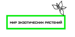 Мир Экзотических Растений