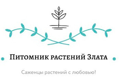 Питомник растений "Злата"
