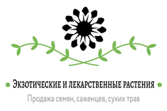 Экзотические и лекарственные растения