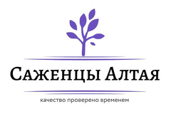 Саженцы Алтая
