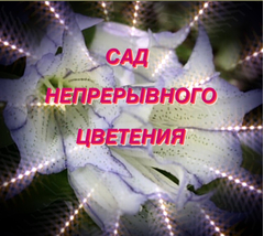 Сад непрерывного цветения